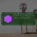 zutonyu.pro